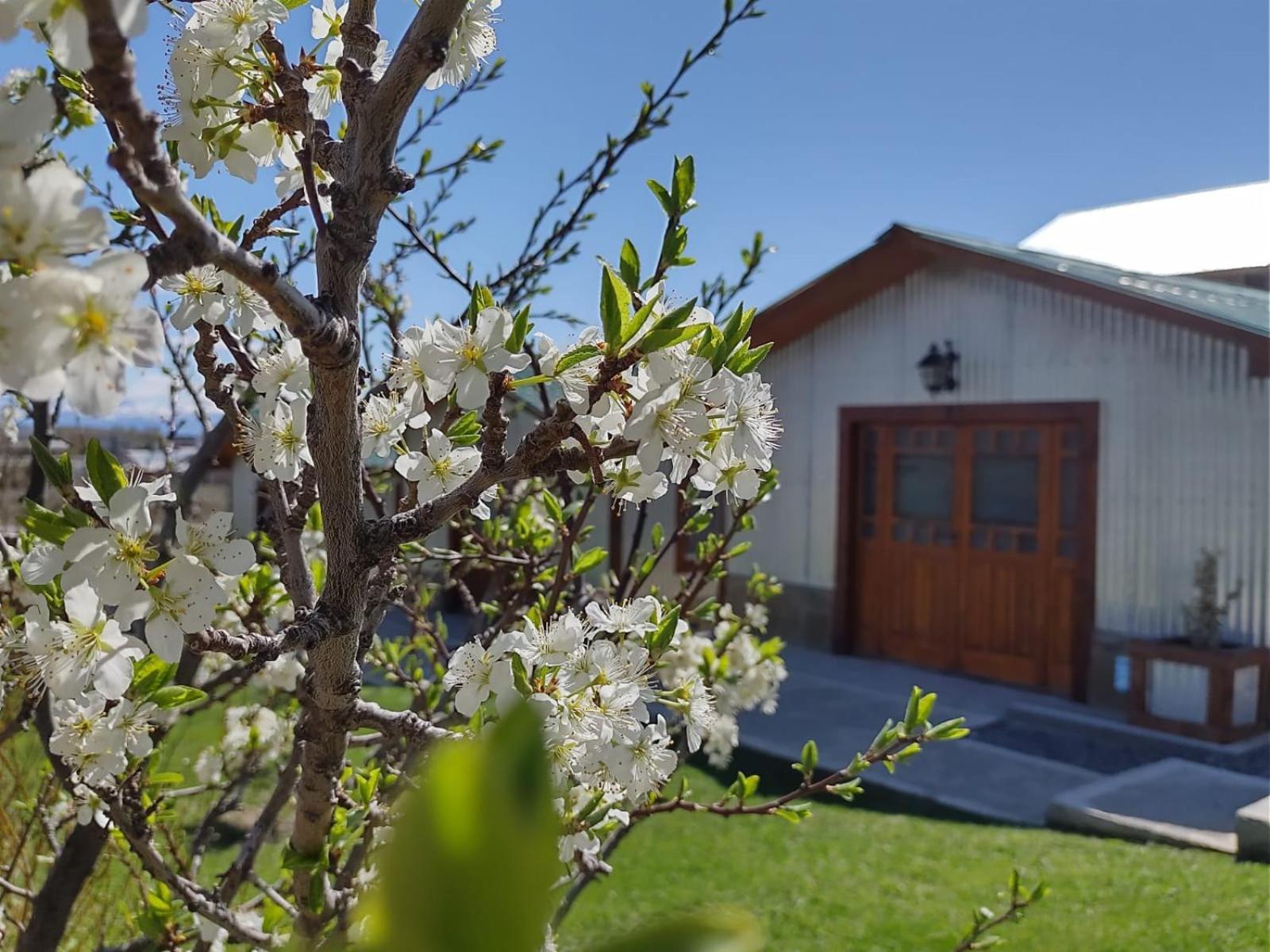 Cabanas Ventalia El Calafate Buitenkant foto